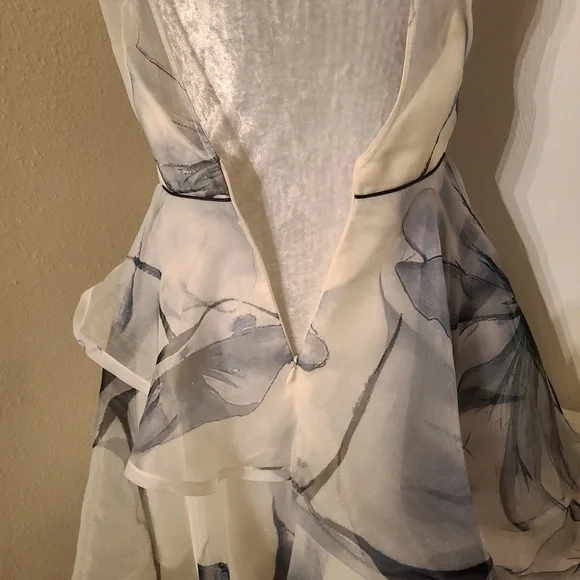 Nha knahn layered ruffle sheer skater style dress - Picture 8 of 10